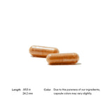 Red Yeast Rice + CoQ10 Previously Choleast 120 Capsules