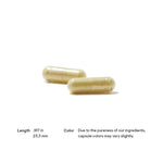 Joint Support Nutrients Previously AR-Encap 240 Capsules